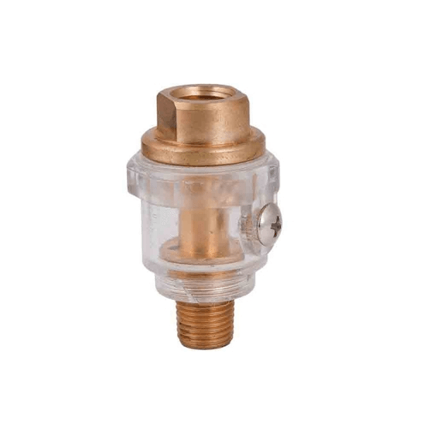 Mini filtru pentru compresor 1/4 RD-AO01, Raider 089938 fotografia produsului