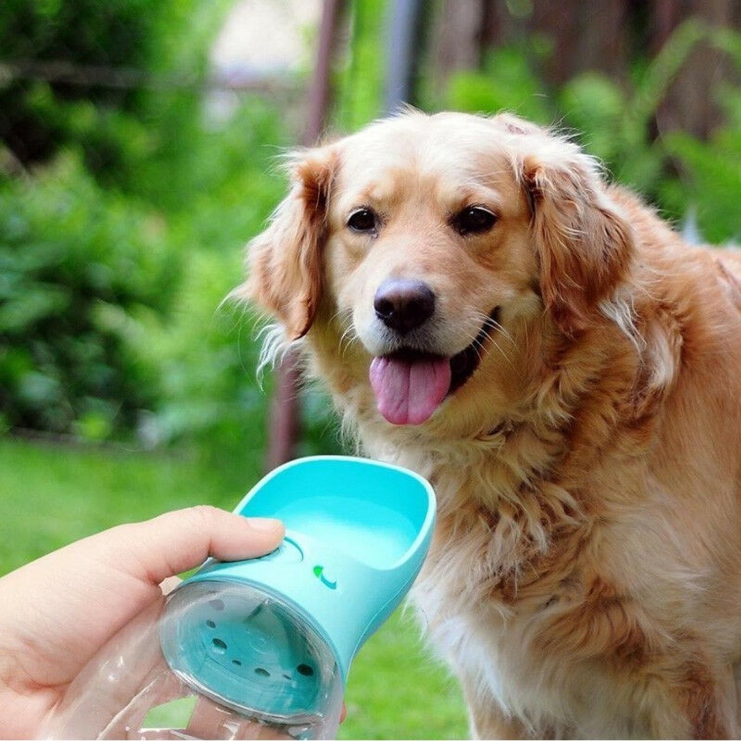 Castron portabil cu sticla de apa pentru animale de companie, Gonga fotografia produsului View 2 L