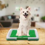 Covor toaleta pentru animale de companie, tip iarba artificiala, Gonga fotografia produsului View 2 S