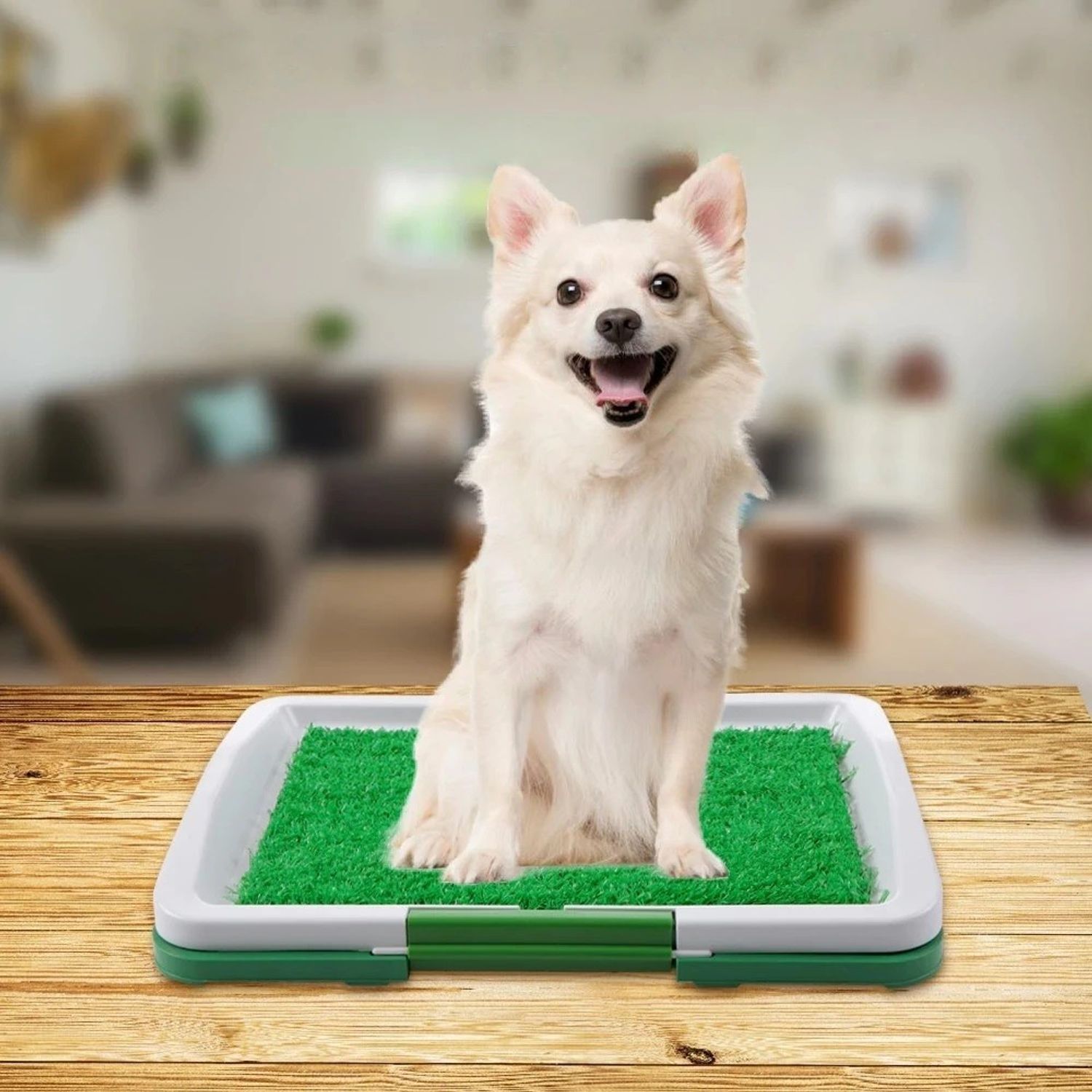 Covor toaleta pentru animale de companie, tip iarba artificiala, Gonga fotografia produsului View 2 L
