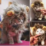 Peruca Furry pentru pisici, bej fotografia produsului View 2 S