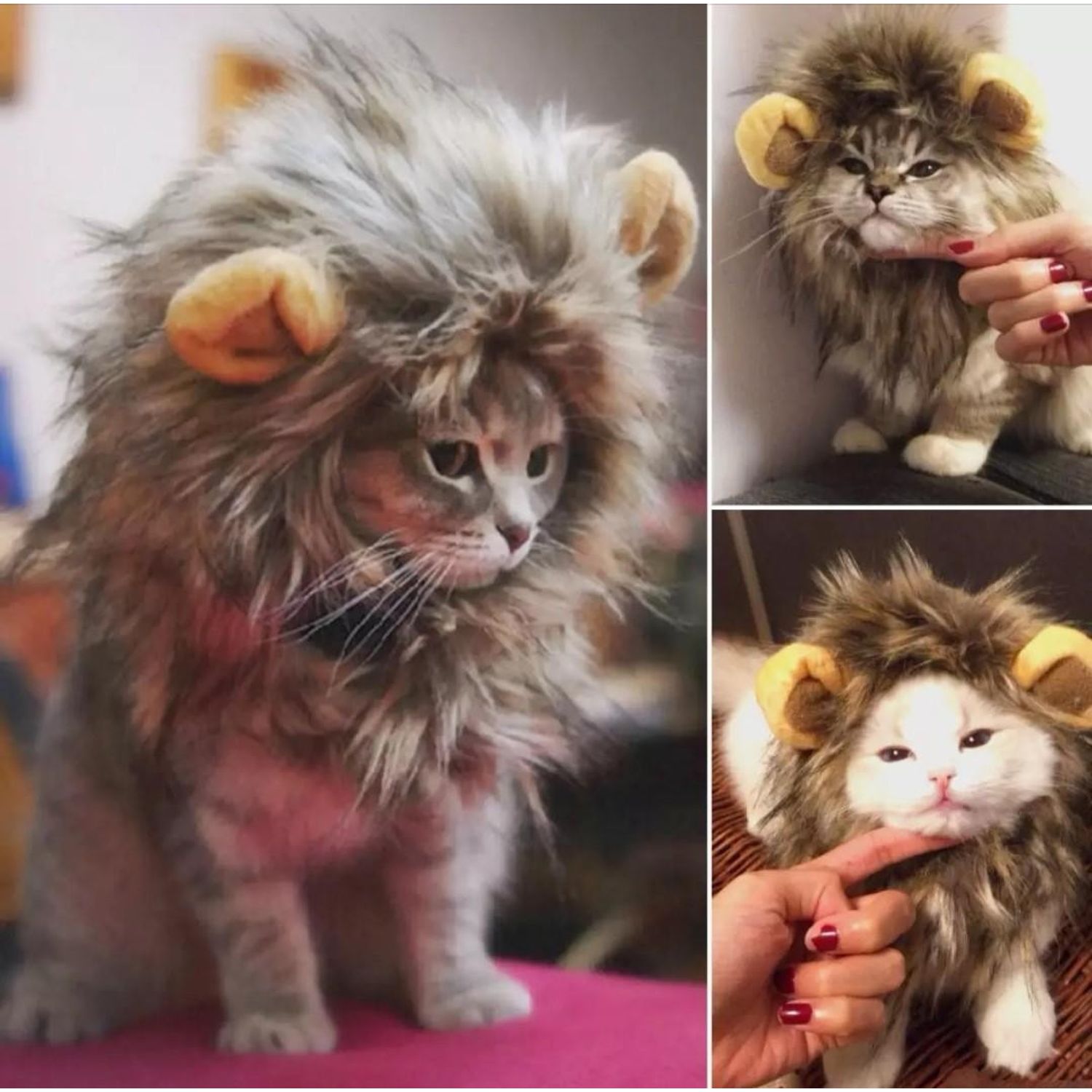 Peruca Furry pentru pisici, bej fotografia produsului View 2 L