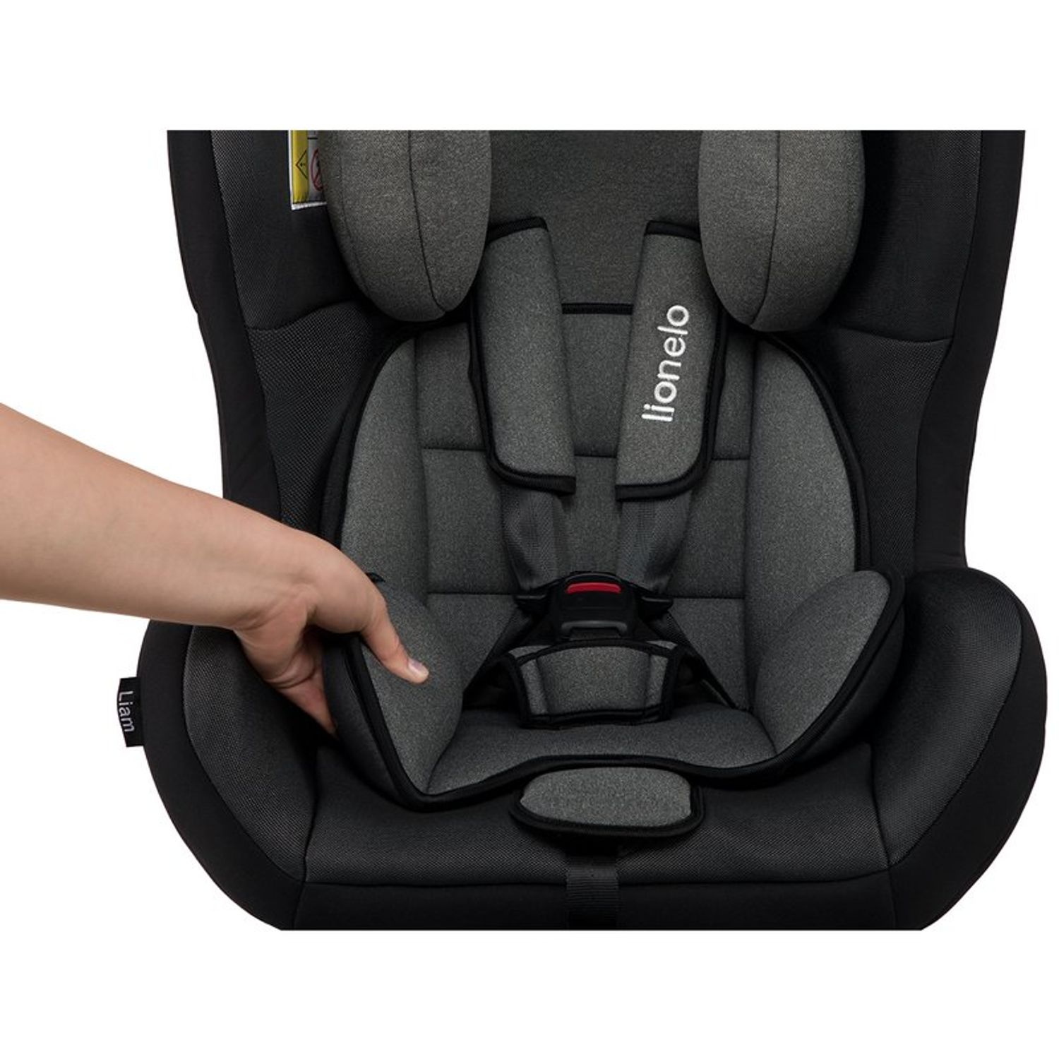 Lionelo - Scaun auto copii 0-18 Kg Liam, Carbon Grey fotografia produsului View 9 L