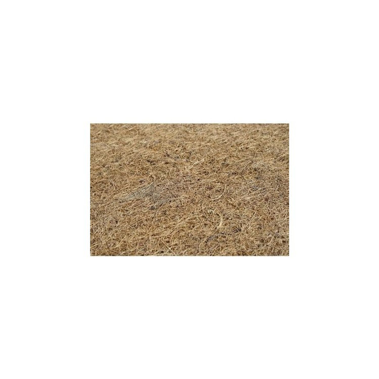 BabyNeeds - Saltea pentru copii Cocos Confort II, 90x50x8 cm fotografia produsului View 3 L