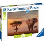 Puzzle Ravensburger - Elefant in Masai Mara, 1000 piese fotografia produsului View 3 S