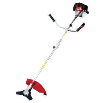 Motocoasa cu lama si fir tija detasabila 1.5kw rd-gbc10s, raider, 075549