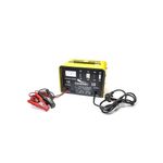 Redresor baterie 12V / 24V, Powermat PM-CD-10G fotografia produsului