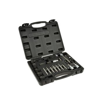 Set chei pentru asamblare/demontare alternator, 24 piese, geko g02781