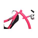 Bicicleta Co-Pilot Roz WeeRide WR06PK fotografia produsului View 7 S