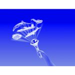 Proiector animale marine Brainstorm Toys E2007 fotografia produsului View 4 S
