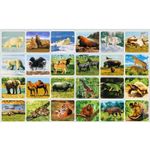 Lanterna proiector cu 3 diapozitive Animale Bambinice BN014 fotografia produsului View 5 S
