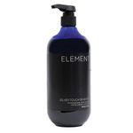 Sampon de par revitalizare par grizonat Element Silver fotografia produsului