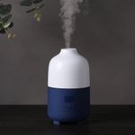 Difuzor Aromaterapie, 500ml, Alb/Albastru fotografia produsului View 2 S