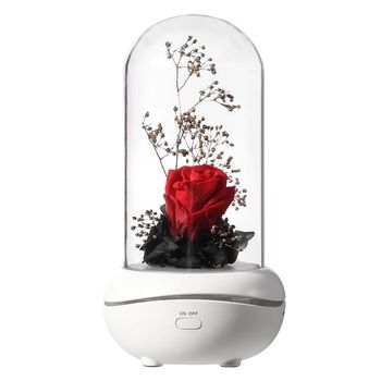 Lampa FIXXIA Rose, USB Rose-red elefant.ro imagine 2022
