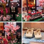 Macheta Asia, DIY fotografia produsului View 3 S