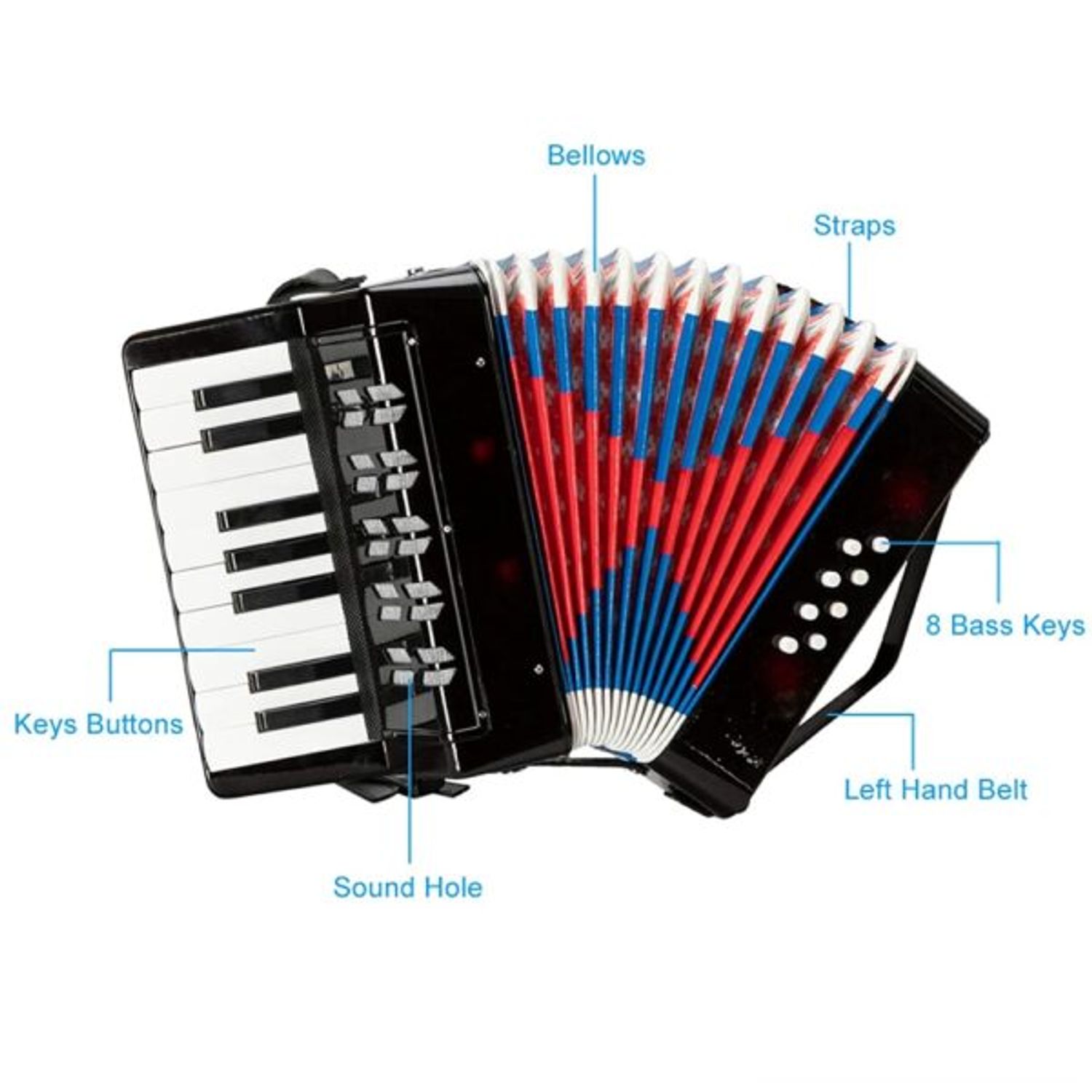 Acordeon Pentru Copii Klausstech, 17 Clape, 8 Basi fotografia produsului View 4 L