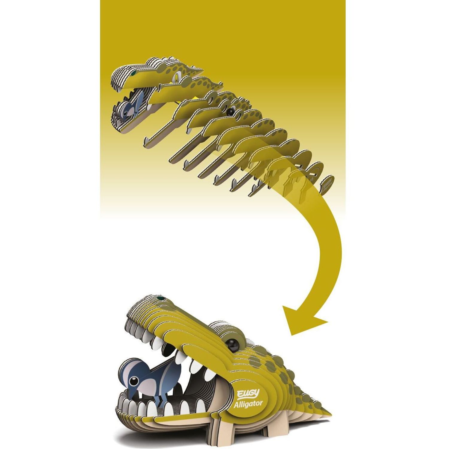 DIY Animale 3D Eugy Aligator Brainstorm Toys D5009 fotografia produsului View 3 L