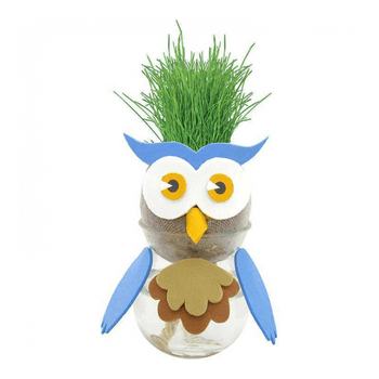 Domnul cap de iarba animalute bambinice bn034_bufnita