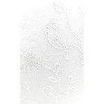 Set 2 bucati chiloti dama, string, culoare alb, 38-40 EU (S) fotografia produsului View 3 S