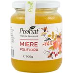 Miere poliflora 500g fotografia produsului