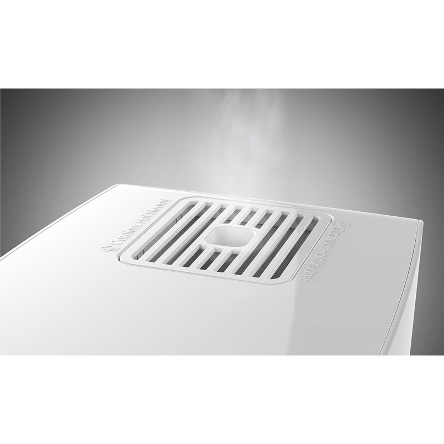 S250 steamer vaporizator cu abur Boneco fotografia produsului View 3 L