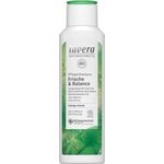Sampon Bio pentru prospetime si echilibru, 250 ml Lavera fotografia produsului