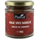 Magic spice barbecue, amestec de condimente, 110g fotografia produsului