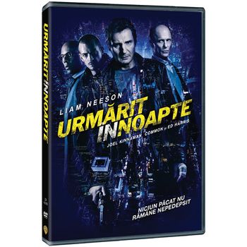 Urmarit in noapte