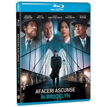 Afaceri ascunse in brooklyn