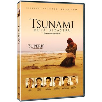 Tsunami dupa dezastru