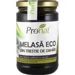 Melasa Bio din trestie de zahar, 400 g fotografia produsului