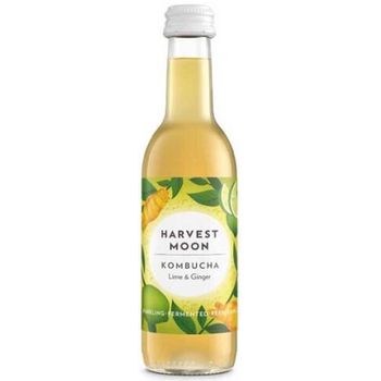 Bautura fermentata bio kombucha cu limete si ghimbir, 250 ml harvest moon