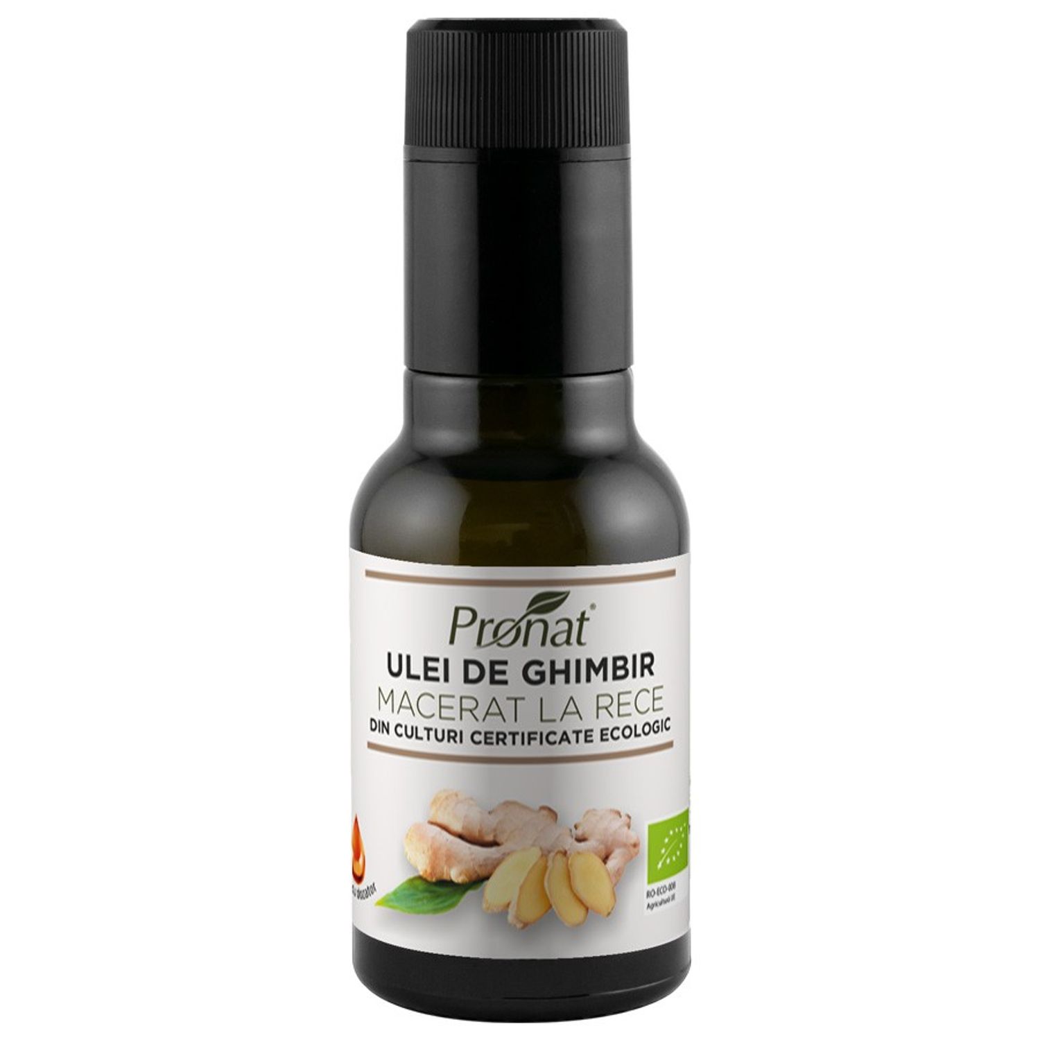 Ulei Bio de ghimbir macerat la rece, 100 ml fotografia produsului