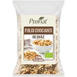 Fulgi crocanti Bio de ovaz 250g fotografia produsului