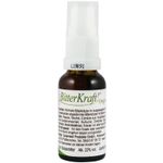 Bitter kraft original spray, 20 ml hildegard von bingen fotografia produsului