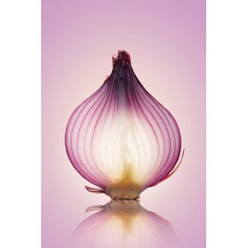 Tablou canvas, fine art food image translucent dph223370902, 100 x 70 cm