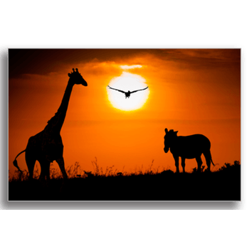 Tablou canvas, african sunset, printly, 100x70cm