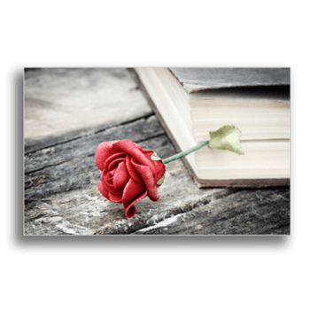 Tablou canvas, retro rose, printly, 100x70cm