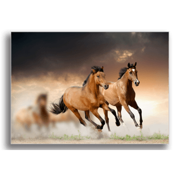 Tablou canvas, horses in sunset 2, printly, 100x70cm