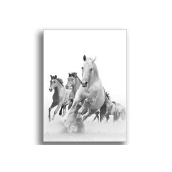 Tablou canvas, horses in sunset, printly, 100x70cm