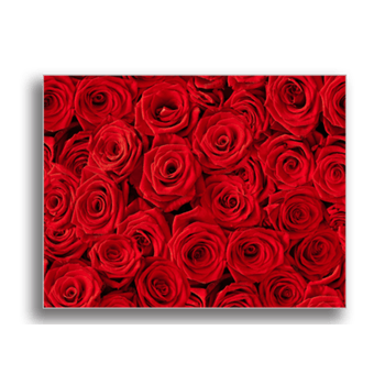 Tablou canvas, roses background, printly, 100x70cm