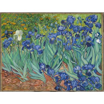 Tablou canvas reproducere, irisi, 70 x 50 cm