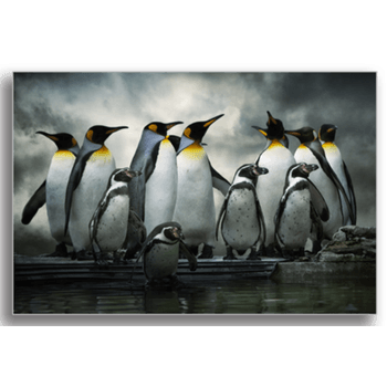 Tablou canvas, pinguini, printly, 100x70cm