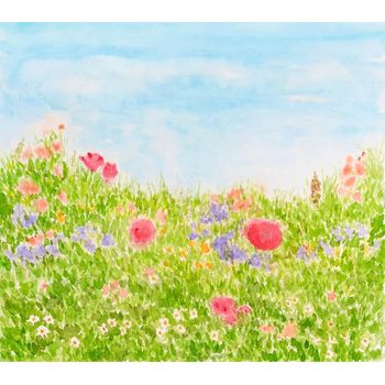 Tablou canvas, summer flowers on daylight meadow dph21278917, 100 x 70 cm