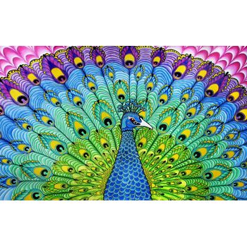 Tablou canvas pentru camera copilului, printly, colorful peacock, 70 x 50 cm
