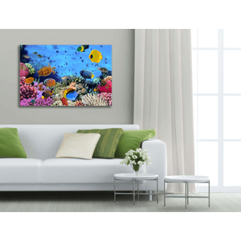 Tablou canvas, colonie de corali, printly, 100x70cm