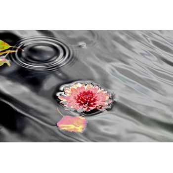 Tablou canvas living, printly, cascada ii, 70 x 50 cm