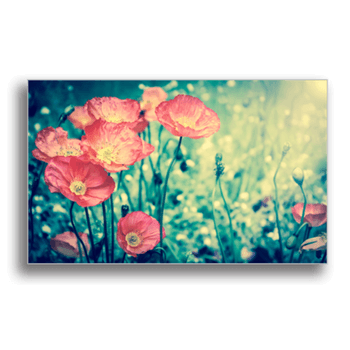 Tablou canvas, retro style poppies, printly, 100x70cm
