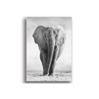 Tablou canvas, elefant african, printly, 100x70cm