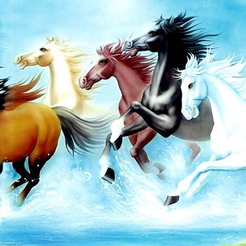 Tablouri cu animale, cai ii, printly, 70 x 70 cm